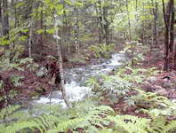 Boundary Brook