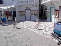 Mykonos mascots