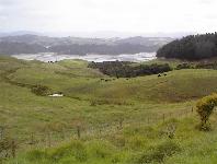 near Coromandel