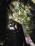 Mangaphophue Natural Bridge.